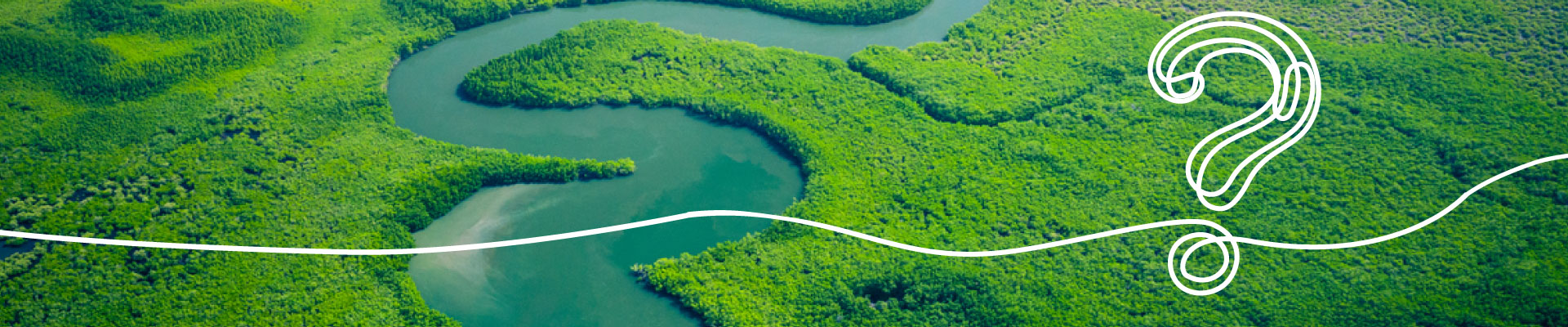 Punto interrogativo nella natura