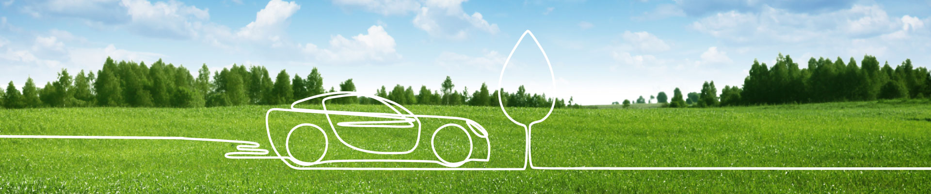 Macchina in mezzo alla natura