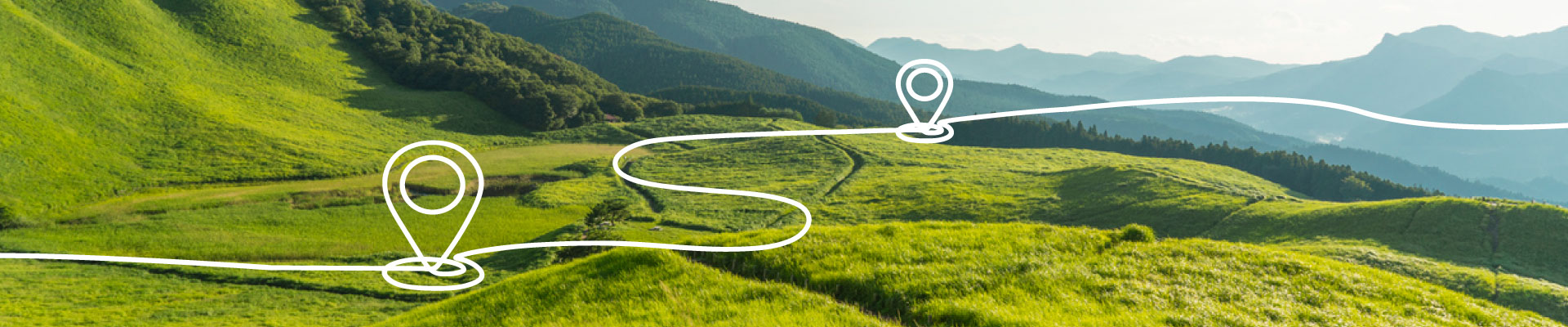 Perco in mezzo alla natura