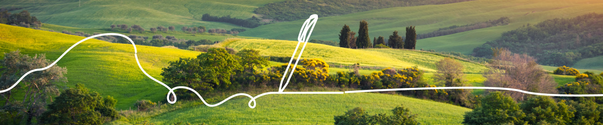 Penna che scrive nella natura